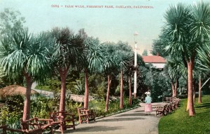 Palm Walk, Piedmont Park, Oakland, California, mailed 1911    